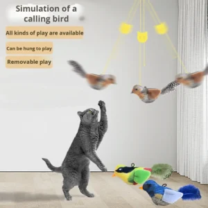 Squeaky Bird Toy with Catnip