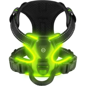 LED Glowing Dog Harness — Rechargeable Night Safety Vest