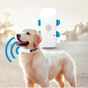 4G Pet GPS Tracker — Real-Time Tracking with Geo-Fence