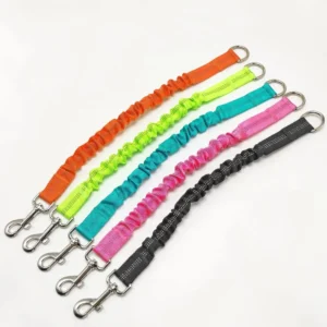 Bungee Shock-Absorbing Dog Leash — Small Dogs