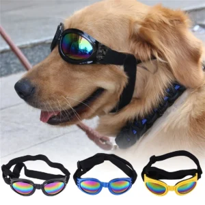 Anti-UV Dog Sunglasses — Eye Protection Goggles