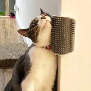 Wall-Mounted Cat Self-Groomer — Massage Comb