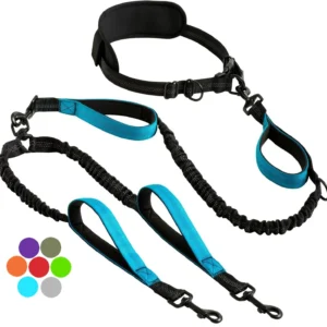 Hands-Free Double Dog Leash — For Two Dogs