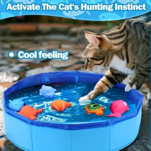 Foldable Pet Play Pool