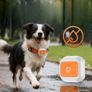 4G LTE GPS Tracker — Android & iOS Compatible