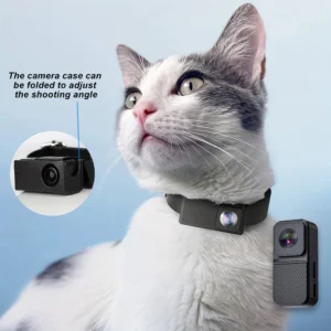 HD 1080P Wireless Pet Camera — No WiFi Needed