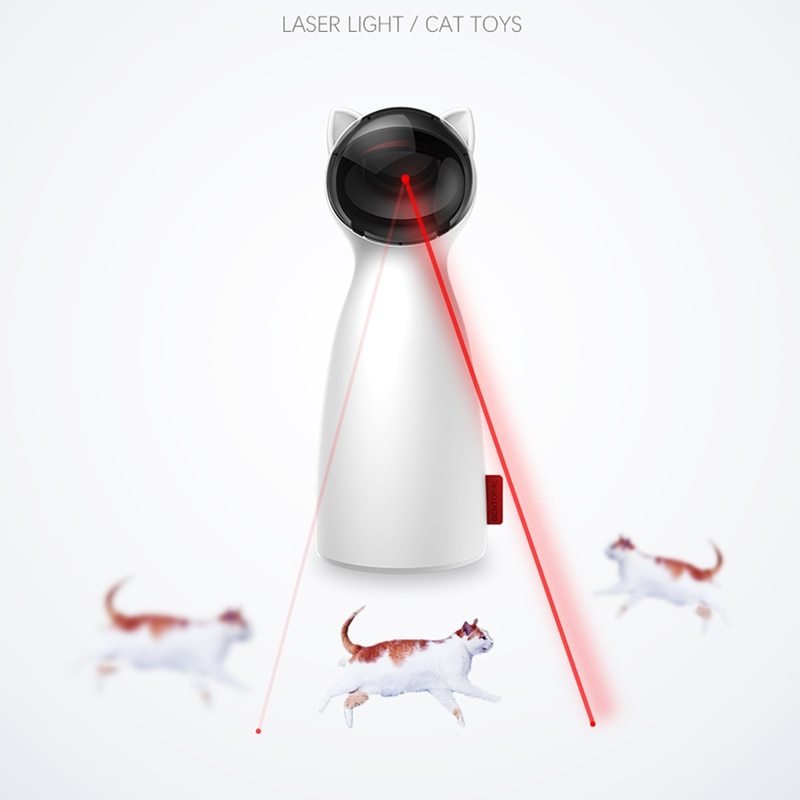 Are Laser Pointers Bad for Cats? How to Use Laser Toys Safely