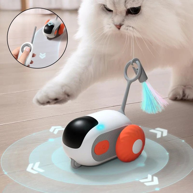 Remote Control Cat Chase Car — USB Rechargeable
