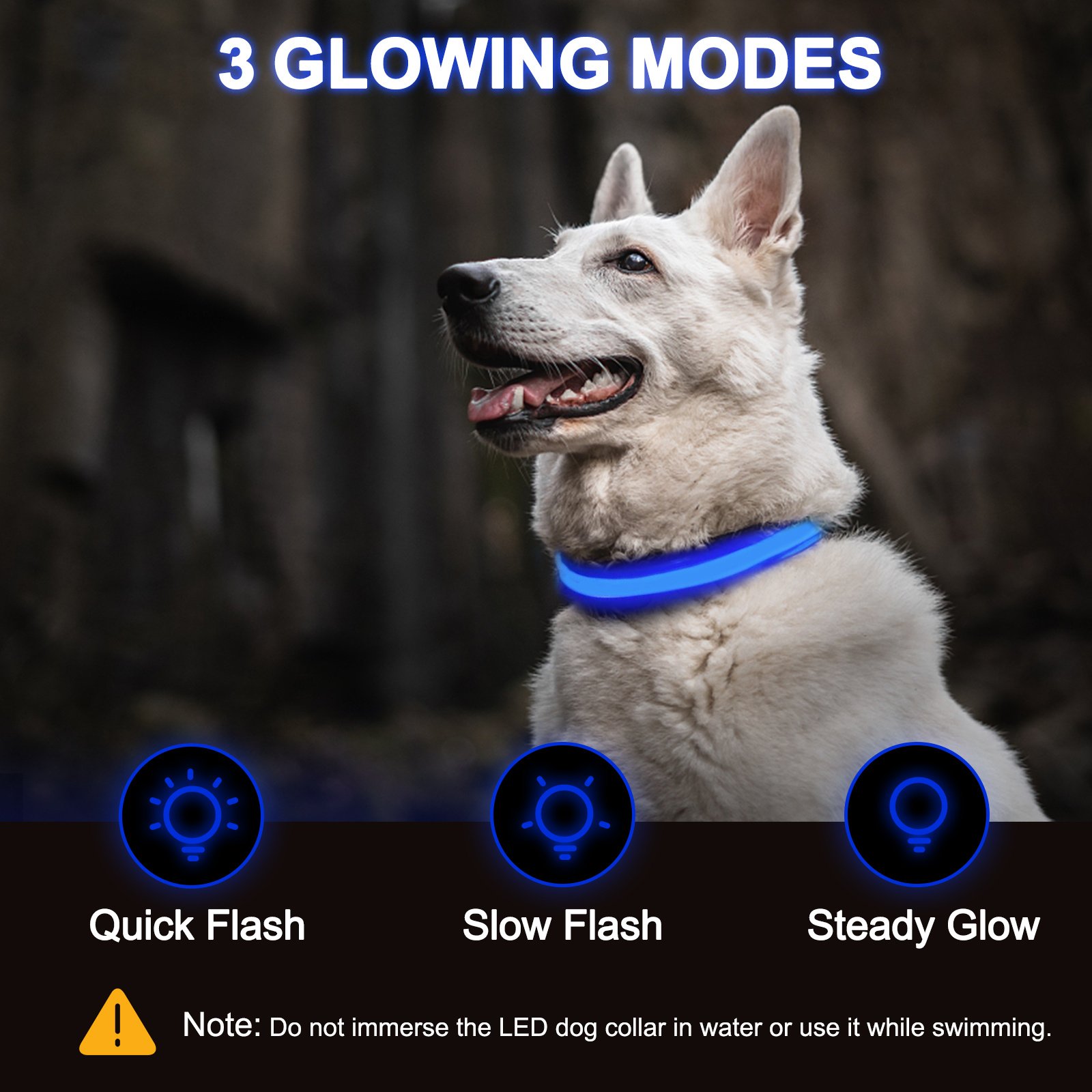 Rechargeable Light-Up Dog Collar — 3 Flash Modes - Image 10