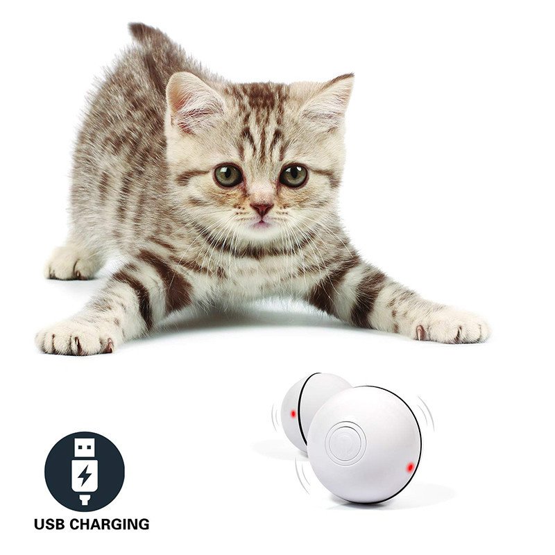 LED Light-Up Rolling Cat Ball with Catnip - Image 3