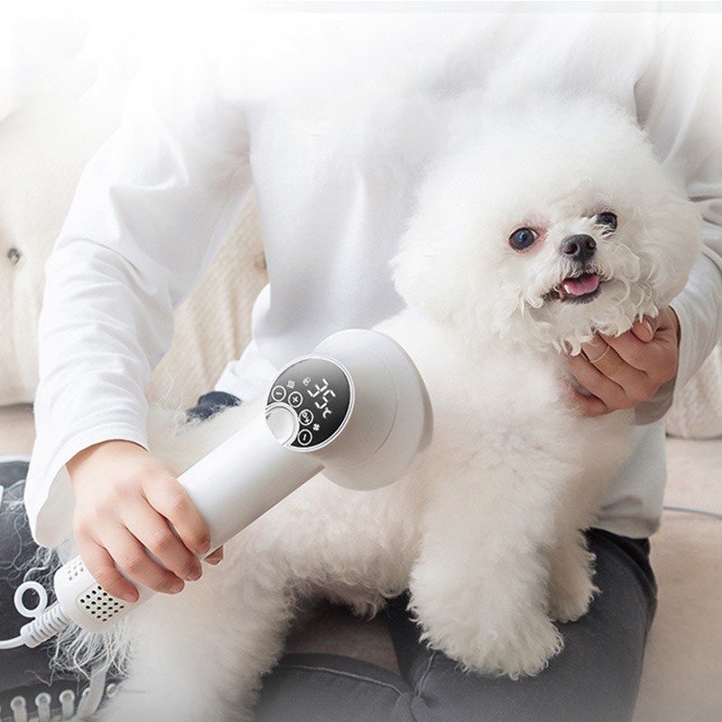 2-in-1 Smart Pet Hair Dryer and Comb — UK Plug - Image 2