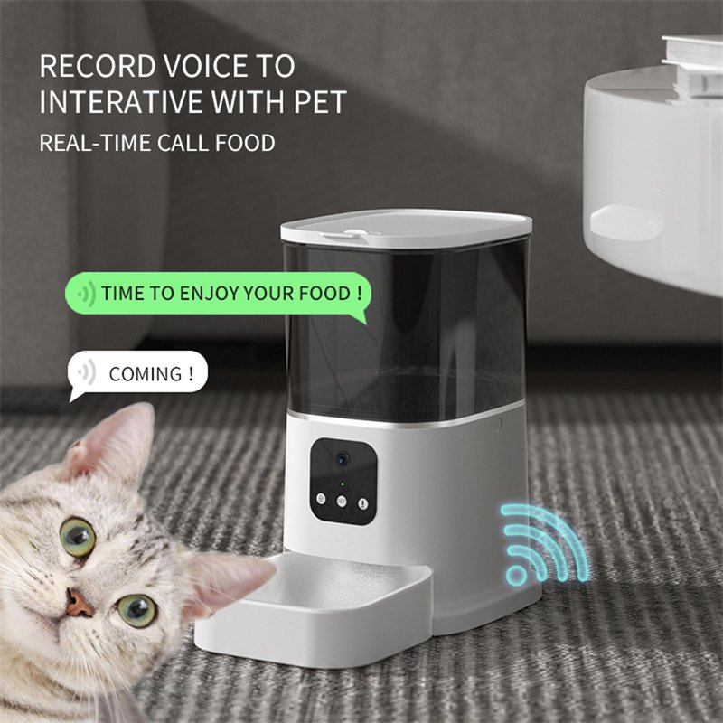 Best Automatic Cat Feeder: How They Work and What to Look For
