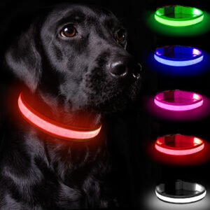 Rechargeable Light-Up Dog Collar — 3 Flash Modes