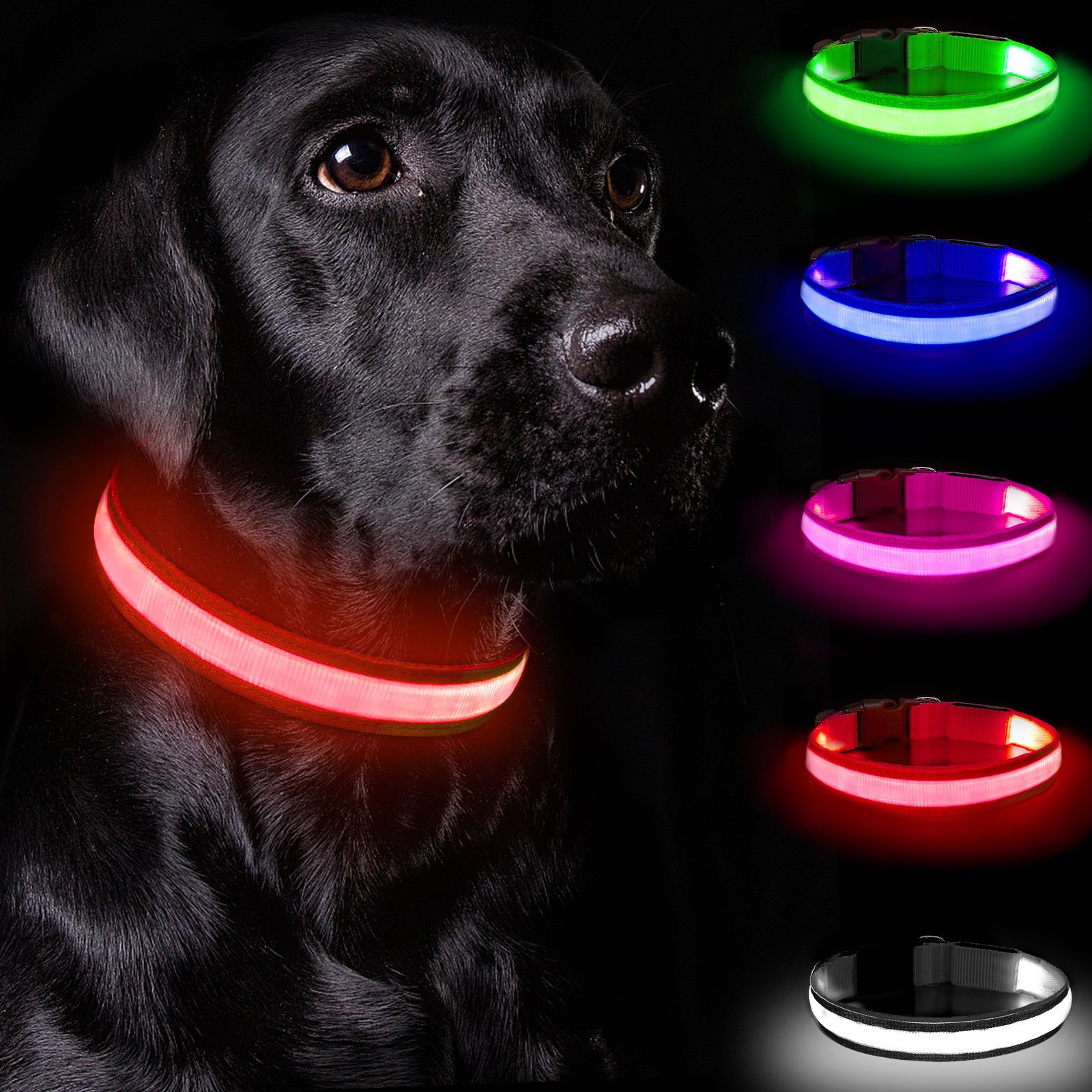 Rechargeable Light-Up Dog Collar — 3 Flash Modes
