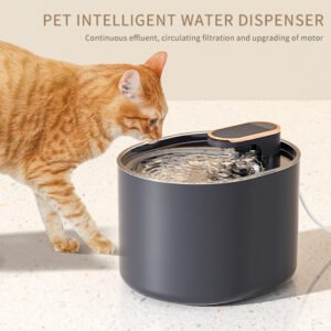 Quiet USB Cat Water Fountain with Filter