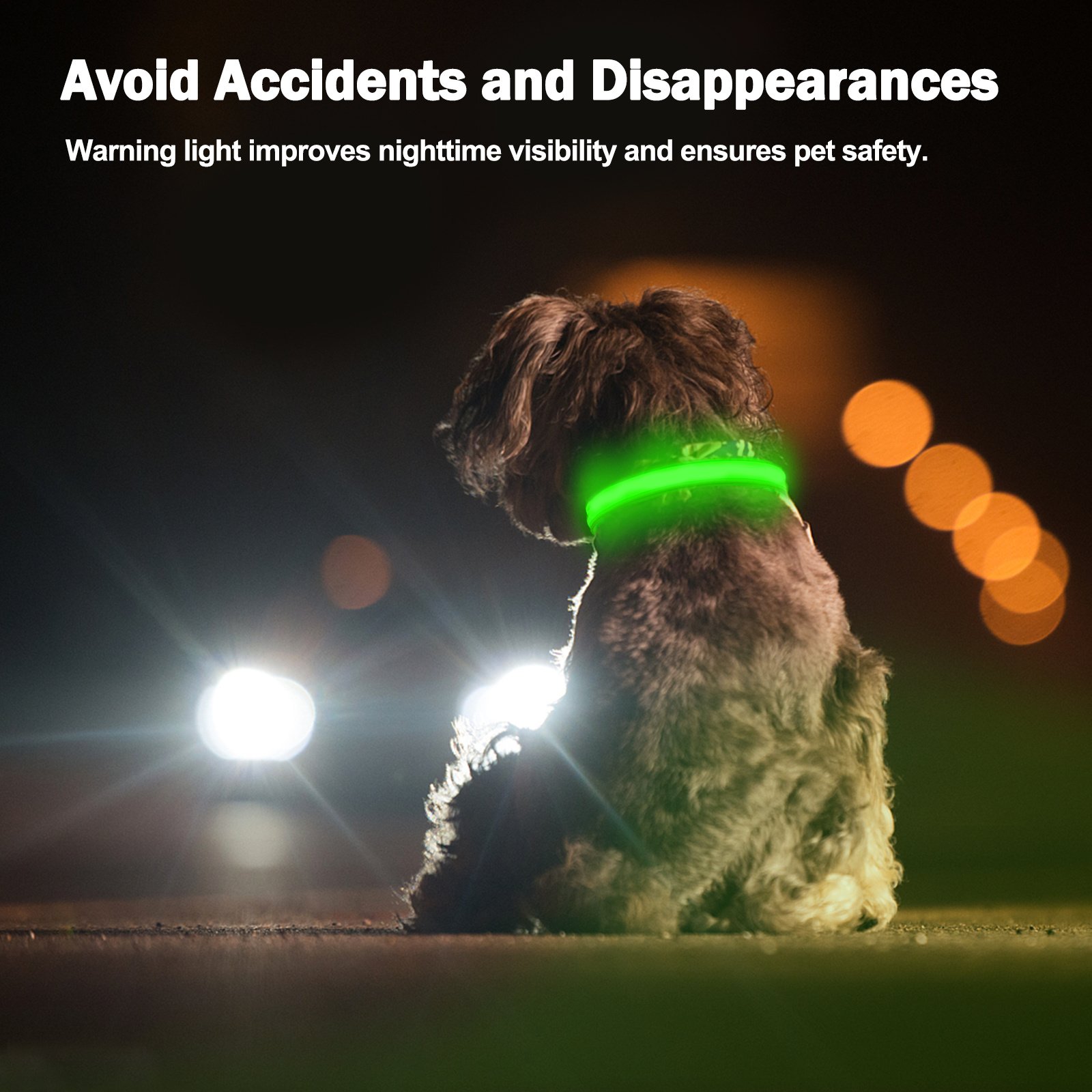 Rechargeable Light-Up Dog Collar — 3 Flash Modes - Image 5