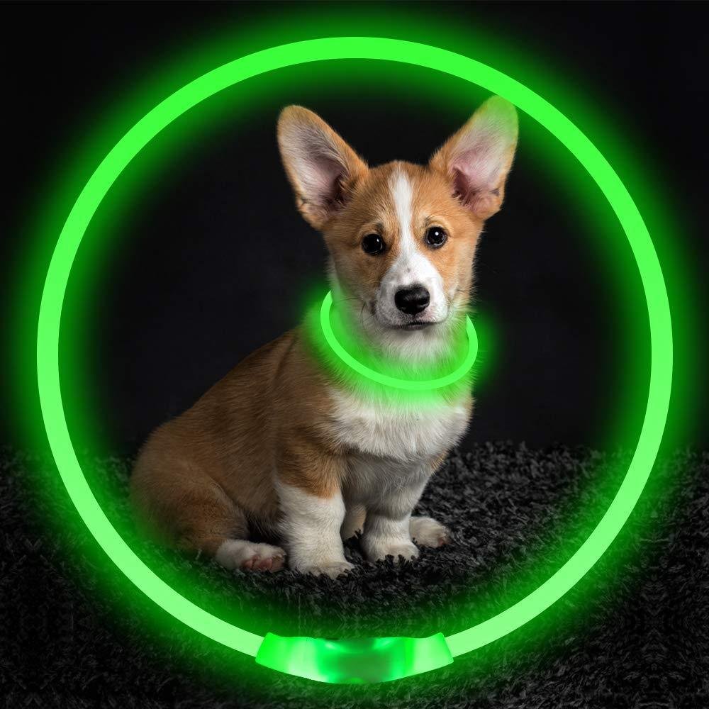 USB Rechargeable Light-Up Dog Collar - Image 2