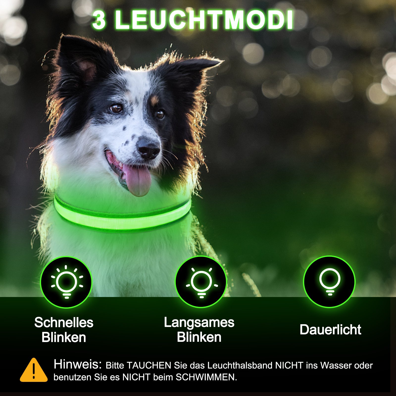 Rechargeable Light-Up Dog Collar — 3 Flash Modes - Image 7