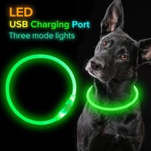 USB Rechargeable Light-Up Dog Collar
