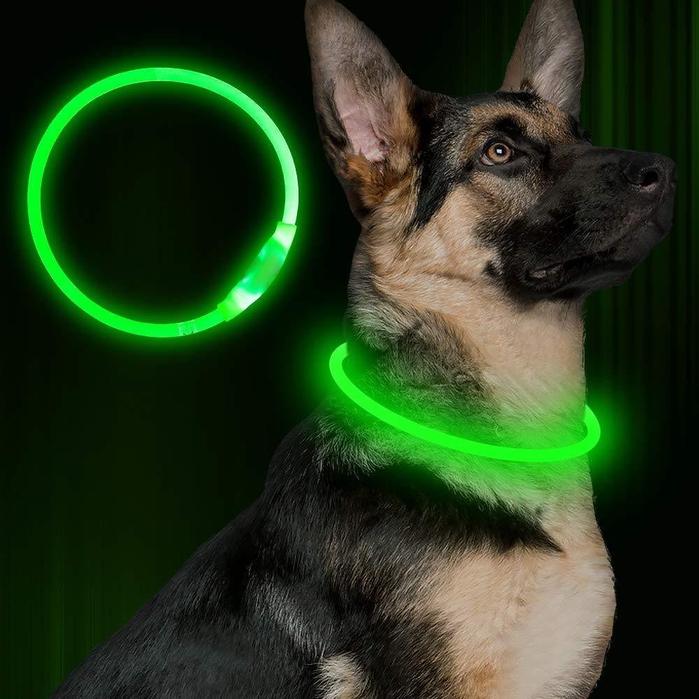 USB Rechargeable Light-Up Dog Collar - Image 3