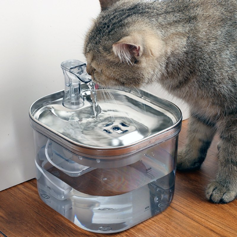 Stainless Steel Pet Water Fountain — Optional Motion Sensor - Image 3